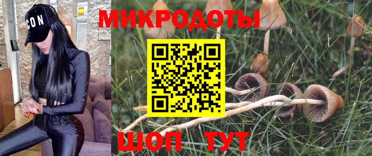 Псилоцибиновые грибы Psilocybe  Галлюциногенные грибы Cubensis  Павловский Посад  Вход с VPN 